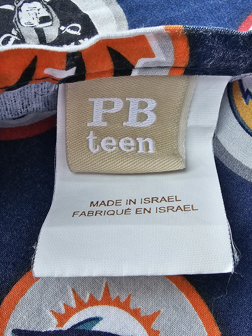 Pottery Barn Teen NFL Twin Sheet Set